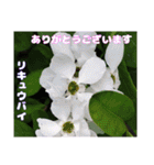 春のお花で、日常の ご挨拶（個別スタンプ：4）