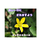 春のお花で、日常の ご挨拶（個別スタンプ：18）