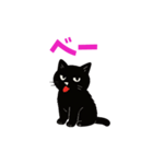 黒猫のねこ太（個別スタンプ：1）