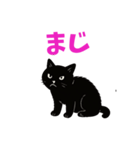 黒猫のねこ太（個別スタンプ：2）