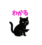 黒猫のねこ太（個別スタンプ：7）