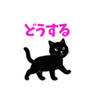 黒猫のねこ太（個別スタンプ：12）