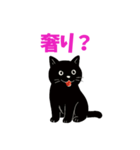黒猫のねこ太（個別スタンプ：17）