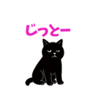 黒猫のねこ太（個別スタンプ：21）