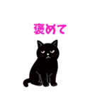 黒猫のねこ太（個別スタンプ：24）