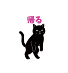 黒猫のねこ太（個別スタンプ：30）