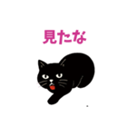 黒猫のねこ太（個別スタンプ：33）