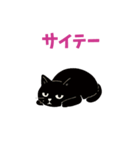 黒猫のねこ太（個別スタンプ：38）