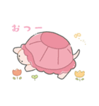 かわいいリクガメちゃん（個別スタンプ：1）
