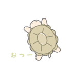かわいいリクガメちゃん（個別スタンプ：2）
