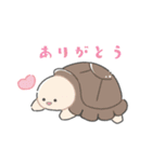 かわいいリクガメちゃん（個別スタンプ：3）