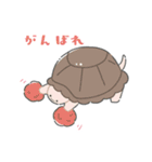 かわいいリクガメちゃん（個別スタンプ：5）