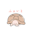 かわいいリクガメちゃん（個別スタンプ：6）