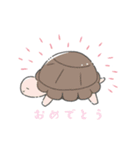 かわいいリクガメちゃん（個別スタンプ：8）