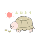 かわいいリクガメちゃん（個別スタンプ：9）