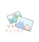 かわいいリクガメちゃん（個別スタンプ：16）