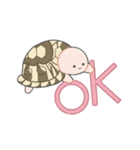 かわいいリクガメちゃん（個別スタンプ：17）