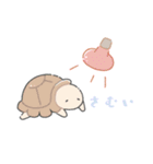 かわいいリクガメちゃん（個別スタンプ：22）