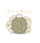 かわいいリクガメちゃん（個別スタンプ：23）