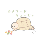 かわいいリクガメちゃん（個別スタンプ：28）