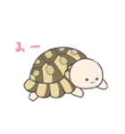 かわいいリクガメちゃん（個別スタンプ：39）