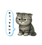 カワイイ猫たちのスタンプ（個別スタンプ：4）