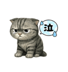 カワイイ猫たちのスタンプ（個別スタンプ：7）