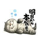 カワイイ猫たちのスタンプ（個別スタンプ：8）
