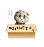 カワイイ猫たちのスタンプ（個別スタンプ：14）