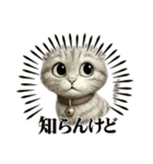 カワイイ猫たちのスタンプ（個別スタンプ：18）