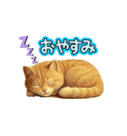 カワイイ猫たちのスタンプ（個別スタンプ：31）