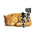 カワイイ猫たちのスタンプ（個別スタンプ：38）
