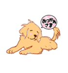 めいんはゴールデンちゃん！（個別スタンプ：6）
