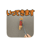 マルプーのモカ様 1弾（個別スタンプ：4）