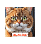 「ネコといっしょ。毎日スタンプ」（個別スタンプ：26）