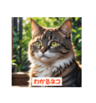 「ネコといっしょ。毎日スタンプ」（個別スタンプ：30）
