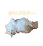 mon petit chat…（個別スタンプ：5）