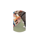 踊るんだあー（個別スタンプ：11）