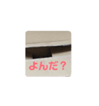 ねこなリアクション（個別スタンプ：1）