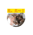 ねこなリアクション（個別スタンプ：2）