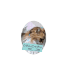 ねこなリアクション（個別スタンプ：3）