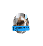 ねこなリアクション（個別スタンプ：4）