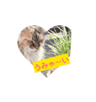 ねこなリアクション（個別スタンプ：6）