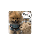ぽんくんとの日常（個別スタンプ：8）