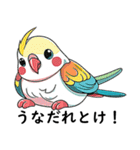 笑顔で毒舌な鳥たち（個別スタンプ：11）