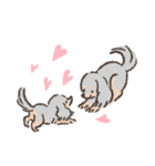 キャバリア LOVEいっぱい（個別スタンプ：12）