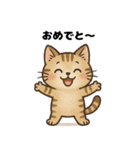 きもちを伝えるにゃんこ（個別スタンプ：1）