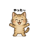 きもちを伝えるにゃんこ（個別スタンプ：2）