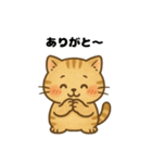 きもちを伝えるにゃんこ（個別スタンプ：6）
