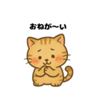 きもちを伝えるにゃんこ（個別スタンプ：7）